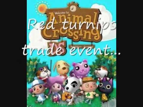 How to enter cheat codes in animal crossing wild world